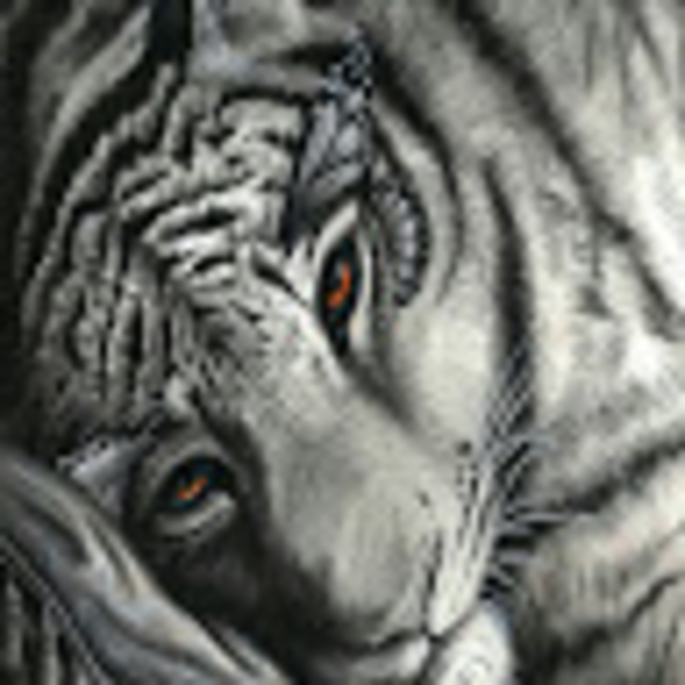 Meet your Posher, Joy